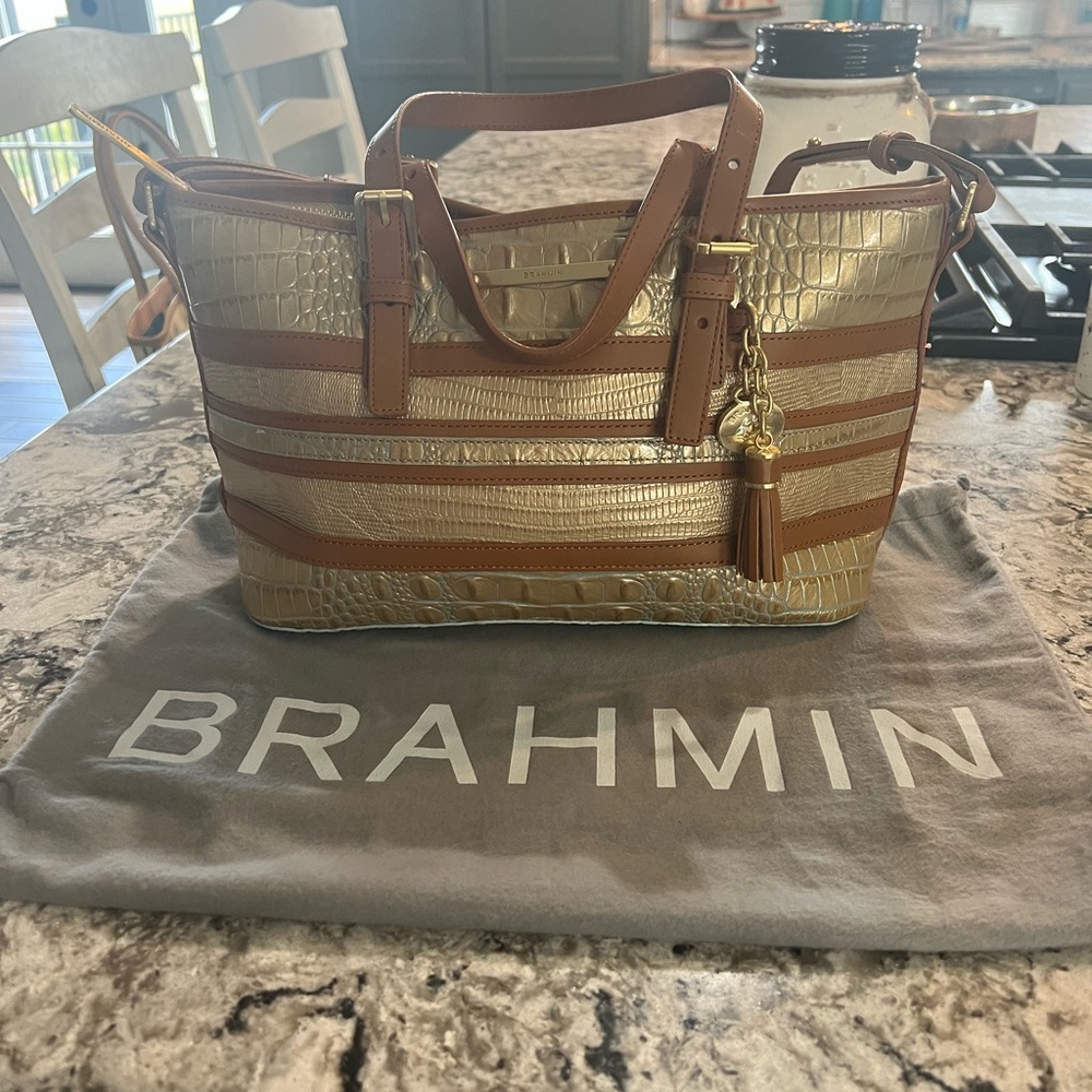 Brahmin mini Asher